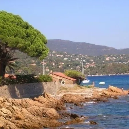 Les Palmiers 2 Le Lavandou
